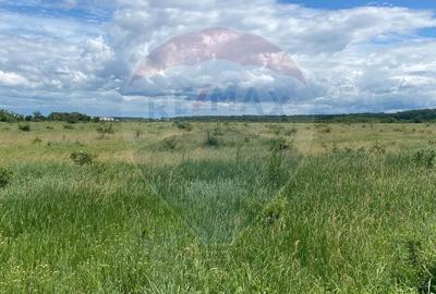 DE VANZARE Teren 5,000mp Sisesti Drumul Piscul Mosului - 8