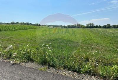 PARCELE TEREN - de vanzare - in CHECHIS - 2