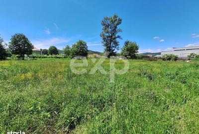 Spațiu comercial, în Domnești - 1