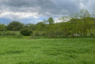 Teren de 15000 mp, în Moldovenești - 3
