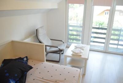 Busteni-Valea Alba-Casa de vacanta cu patru camere - 18