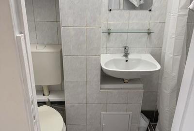 Garsonieră decomandată în Dosu Bricii - 7