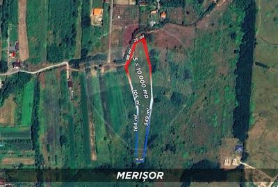 Teren Construcții intravilan de 10000 mp, în Merișor - 1