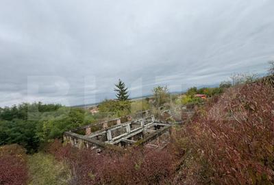 Teren intravilan 7362 mp, Oportunitate de investitie, - 4