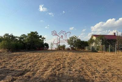 Teren intravilan 2.192 mp cu front 20 m Seceani, Timi? - 3