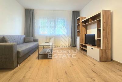 Apartament cu 2 camere semidecomandat în Micălaca - 12