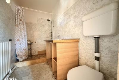 Casă cu 3 camere cu Teren 252 Mp în Șega - 3