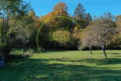 Teren intravilan | 1300 mp | de vanzare- Valea Avrigului - 2