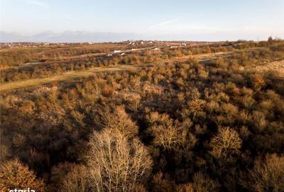 Teren de 4333 mp, în Paleu - 2