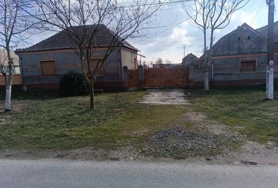 Casa Cebza-Timis - 2