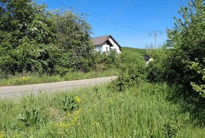 Teren de 1158 mp, în Smeura - 7