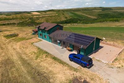 Teren 9.4 ha extravilan + casa 230 mp - 6