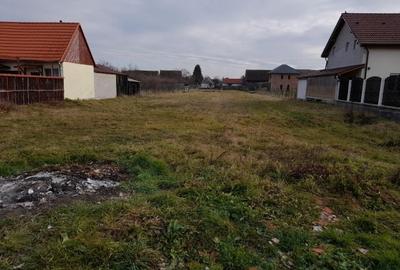 Imobiliare Maxim - teren intravilan in Cristian - 4