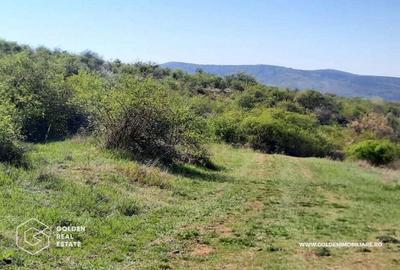 Teren intravilan Valea Domneasca, localitatea Ghioroc - 3