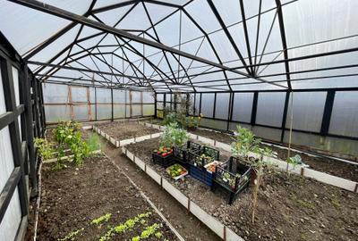 Casa Sinca Veche 5 camere! - 18