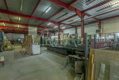 Doua hale / spatiu industrial + birouri 5000 mp / Sector 4 - 6
