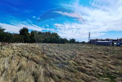 Teren agricol extravilan de 5316 mp, în Aradul Nou - 10