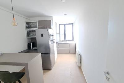 Aviatiei-Herastrau, 2 camere de inchiriat, 75 mp, prima inchiriere, terasa - 7