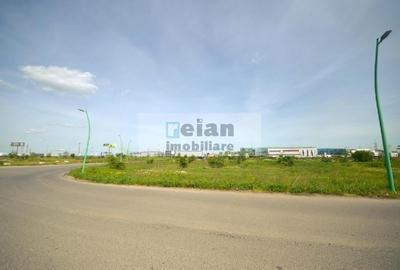 Teren Construcții intravilan de 17400 mp, în Manolache - 4