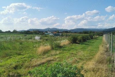 Teren de 2600 mp, în Săsar - 1