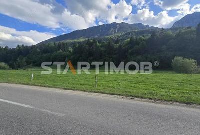 Teren intravilan Zarnesti Plaiul Foii - 19