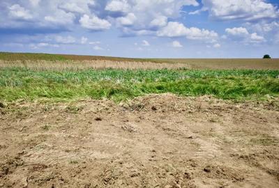 Teren in Butimanu cu Deschidere la Lac-Jud. Dambovita - 2