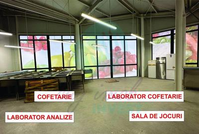 Spatii comerciale de inchiriat in PIATA DELFINULUI