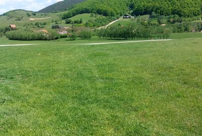 Teren extravilan 3408 mp in Gura Raului - 2