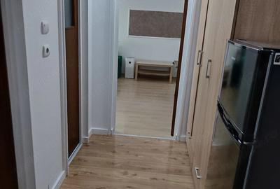 Garsonieră decomandată în Ozana - 3