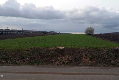 Spațiu comercial, în Proselnici - 3