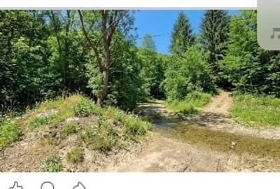 Casă individuală cu 3 camere cu Teren 1320 Mp în Zăbala - 3