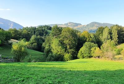 Teren pentru investitie sau casa de vacanta , Pestera , Brasov - 5