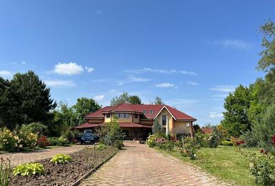 Vilă de lux mobilata/utilata cu terasa+foisor, garaj,gradina si livada - 8