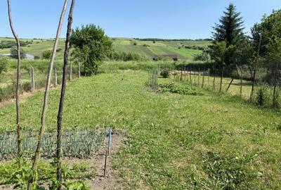 Casă de vânzare in Agnita cu căsută de vară si gradină - 10