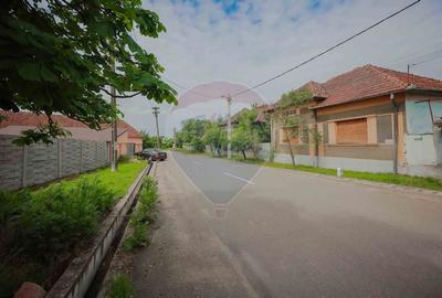 Casa de vanzare cu 3 camere si teren 1700 mp, in Capalna - 1