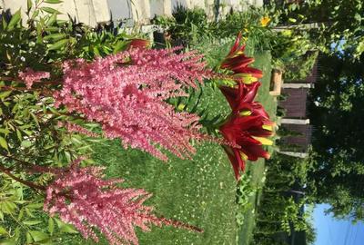 Casă cu Teren 1200 Mp în Calea Moldovei - 2