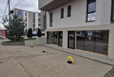Spațiu comercial, de 175 mp, în Nicolina - 1