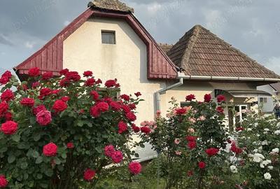 Casă cu 1 camere în Central - 2