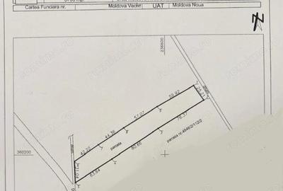 Teren în Moldova Veche - 2