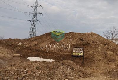 Teren Construcții intravilan de 1991 mp, în Cernica - 2