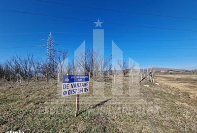 Spațiu comercial, în Central