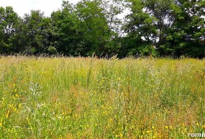 Casa Slanic Prahova pensiune,hotel 24 camere - 4