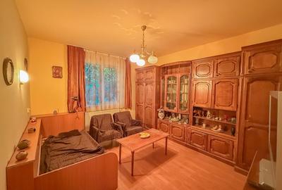 Casa spatioasa cu livada si sere- Ronat, Timisoara - 9