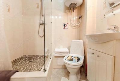 De vanzare apartament cu doua camere in zona Take Ionescu - 4