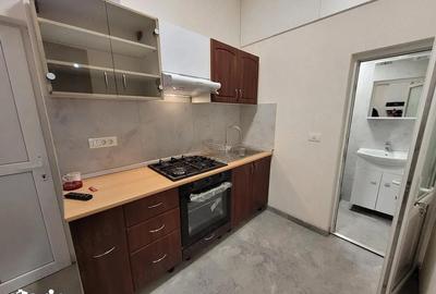 Garsonieră semidecomandată, mobilată în Iosefin - 4
