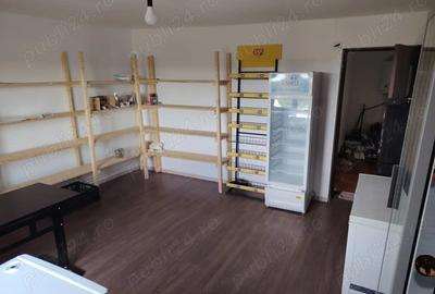 Vand casa in Cara? Severin Re?i?a - 1