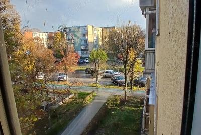 Apartament cu 2 camere, Central, Calea Bucure?ti - 3