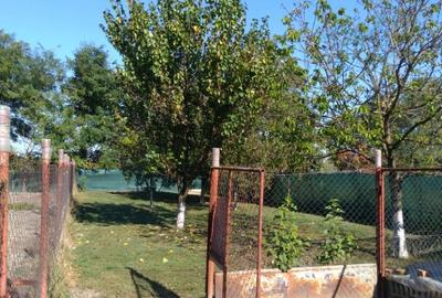 Casă în Berecuța - 5