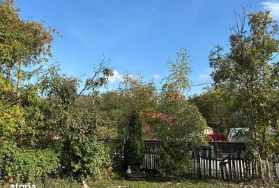 Casă cu 2 camere cu Teren 87 Mp în Vulcana-Băi - 3