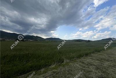 Teren intravilan de 3477 mp cu deschidere de 35 m in Boita - 6
